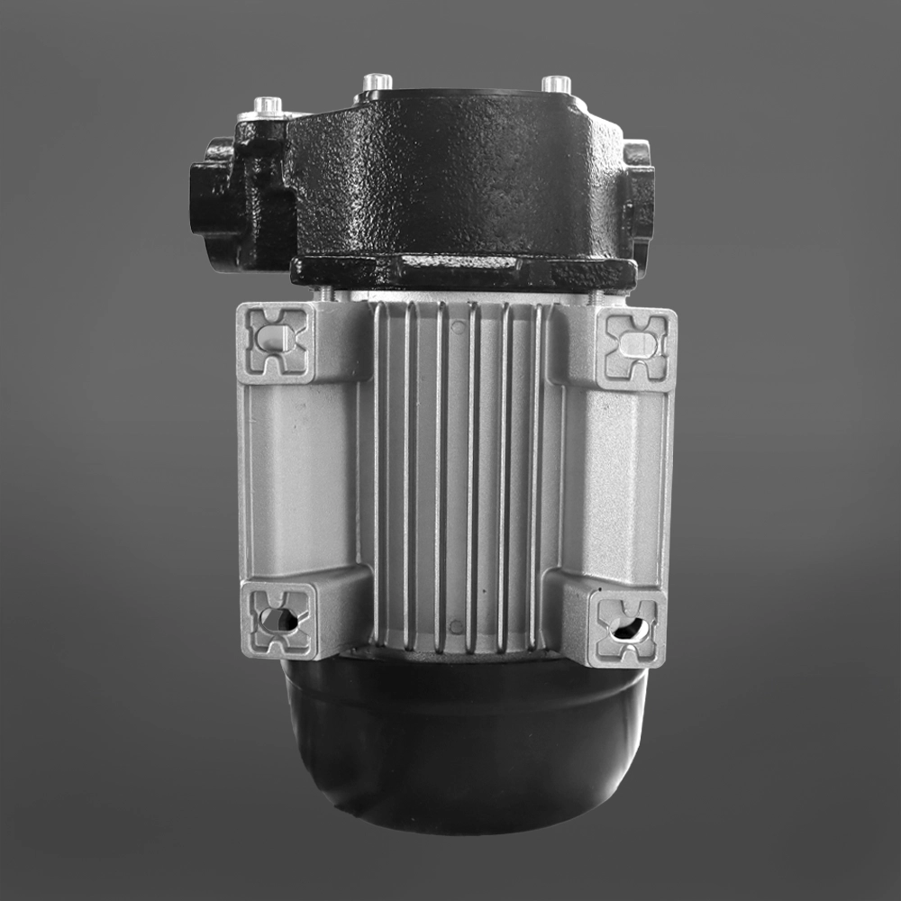 Bomba para Diésel de 220 Volt Piusi Panther 56 3 Bomba para Diésel de 220 Volt Piusi Panther 56 - Imagen 3