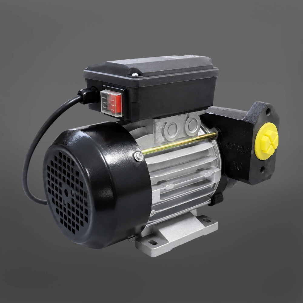 Bomba de Trasvasije de Petróleo de 220V: Potencia y Precisión 4 Bomba de Trasvasije de Petróleo de 220V: Potencia y Precisión - Imagen 4