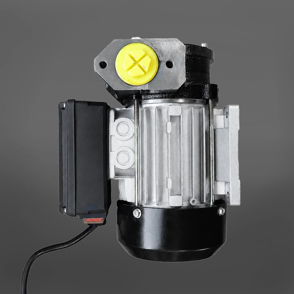 Bomba de Trasvasije de Petróleo de 220V: Potencia y Precisión 3 Bomba de Trasvasije de Petróleo de 220V: Potencia y Precisión - Imagen 3